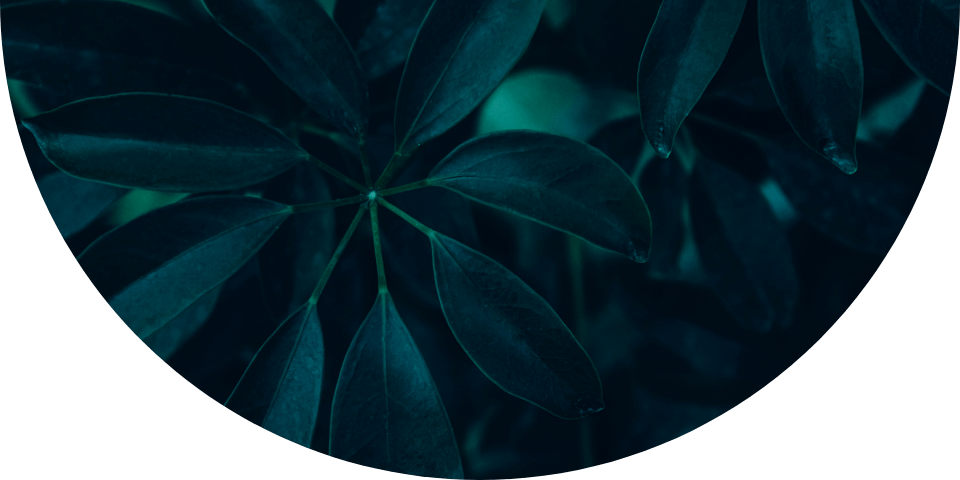 blickwinkel änderei astrologie coaching