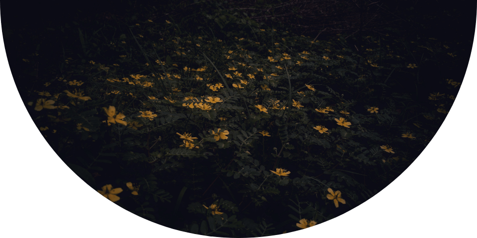 blickwinkel änderei astrologie coaching