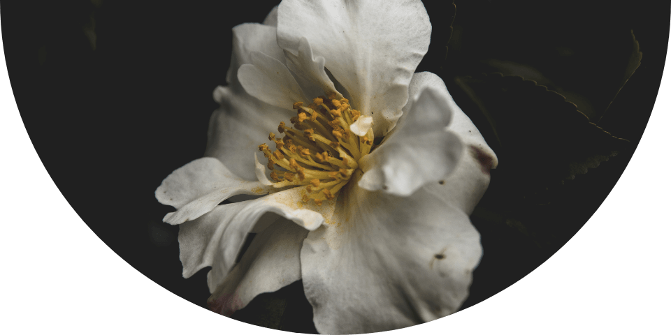 blickwinkel änderei astrologie coaching